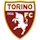 logo_Torino