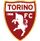 logo_TOR
